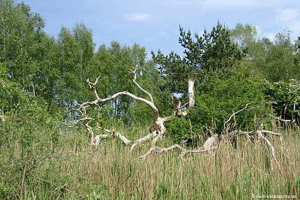 2007-05-20_0002a 2007-05-20_0002a