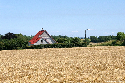 2007-07-20_07a 2007-07-20_07a