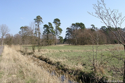 2009-04-10_Rostocker-Heide_08a 2009-04-10_Rostocker-Heide_08a