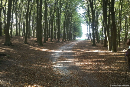 2011-09-25_Koesterbeck_098a 2011-09-25_Koesterbeck_098a