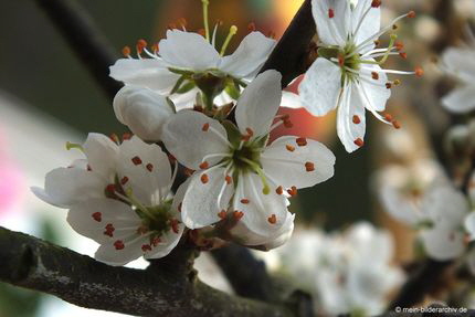 20140402_799a