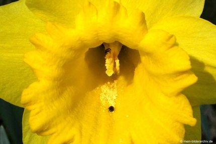 20140403_816a