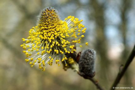 20140403_854a
